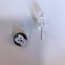 Custom Essex Crystal Pet Portrait